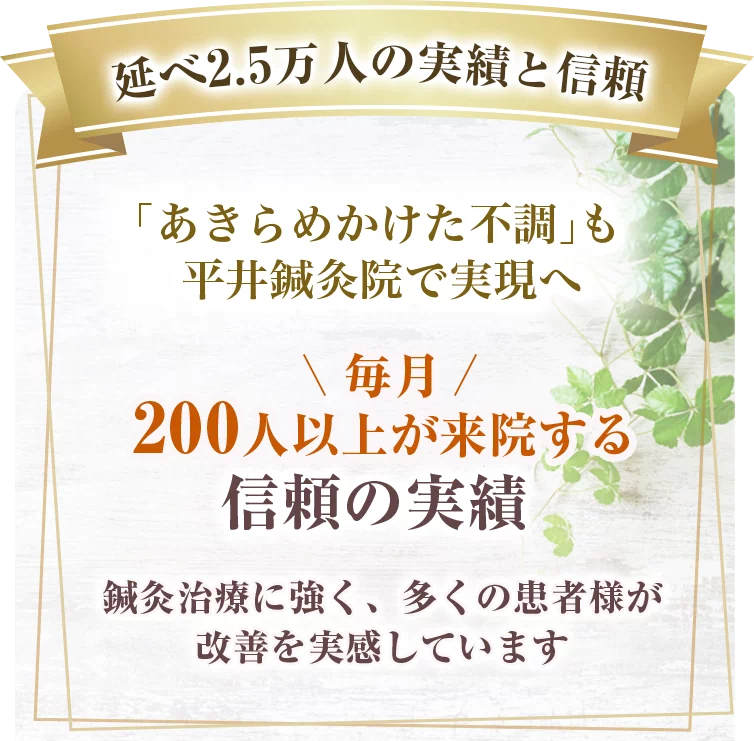 平井鍼灸院キャンペーン