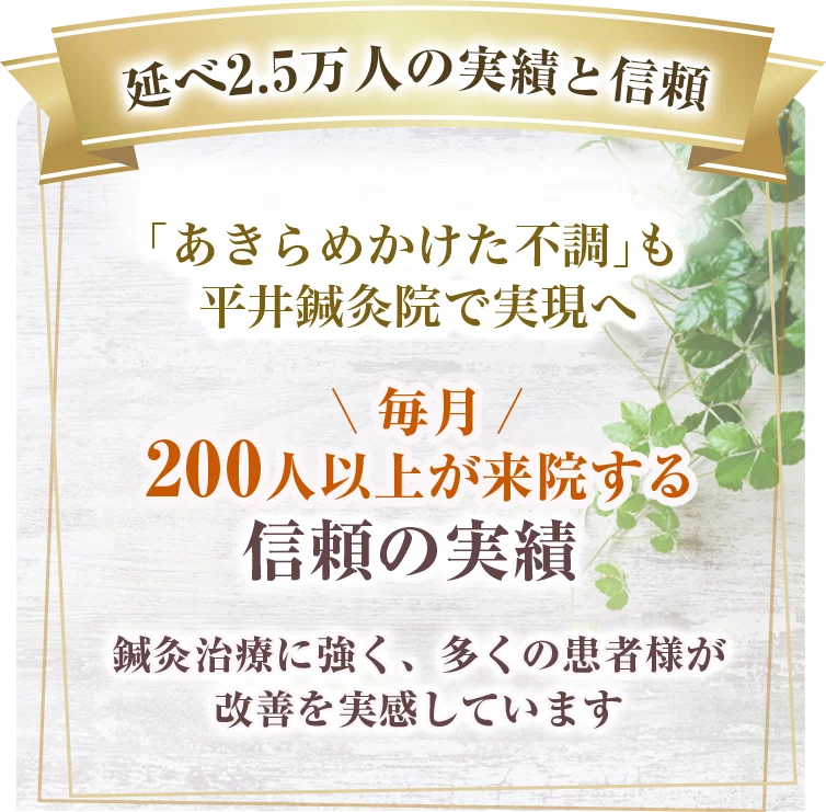 平井鍼灸院キャンペーン
