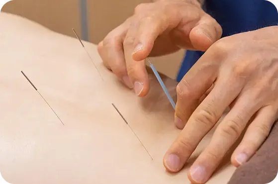 スタッフ集合写真