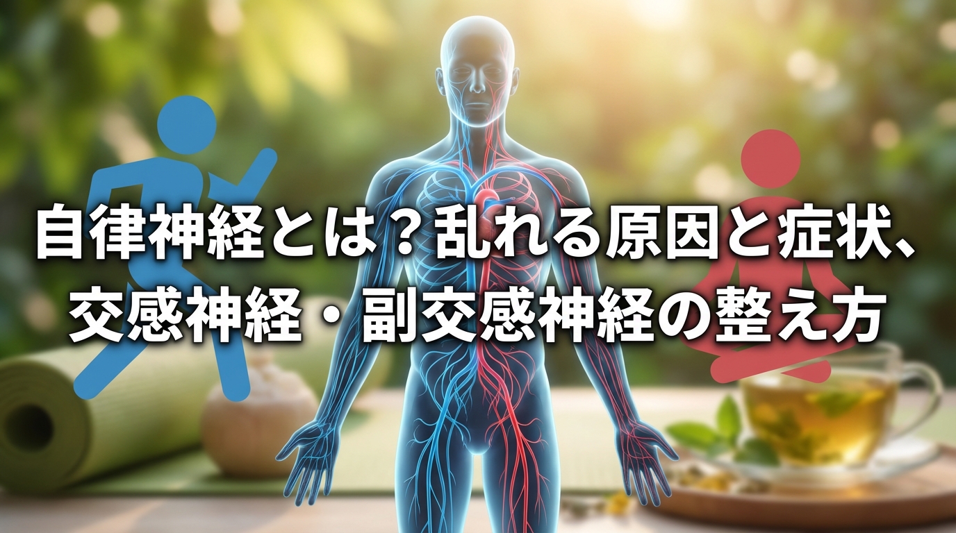 自律神経とは？乱れる原因と症状、交感神経・副交感神経の整え方