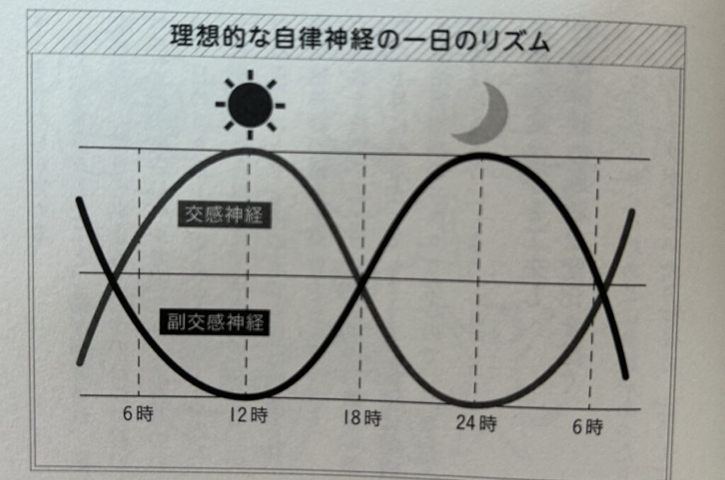 自律神経