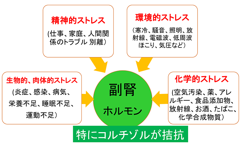 副腎疲労の原因