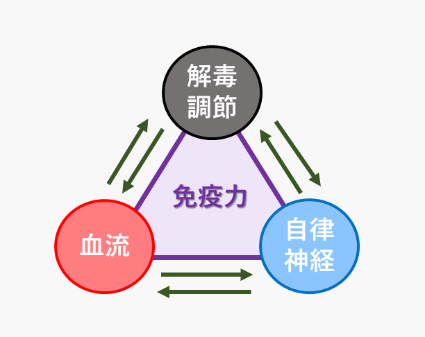 免疫の仕組み