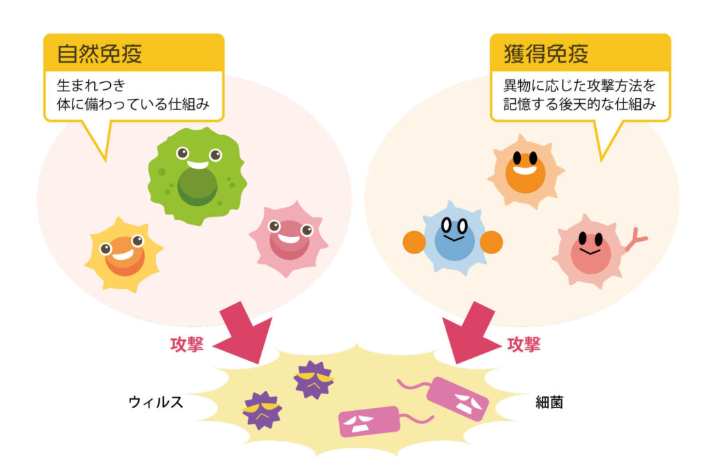 獲得免疫と自然免疫